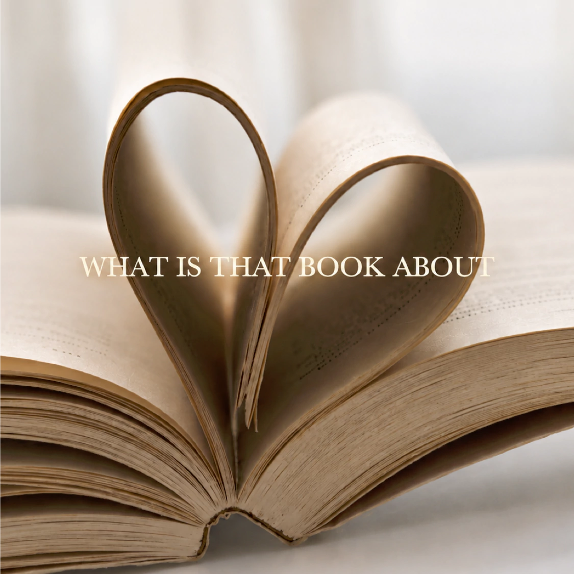 What Is that Book About